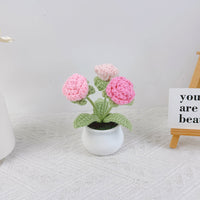 Crochet Tulip Flower Pot